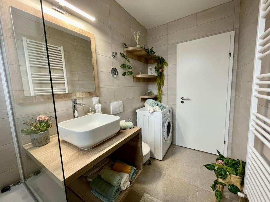 Belmonte Apartment บราชอฟ ภายนอก รูปภาพ